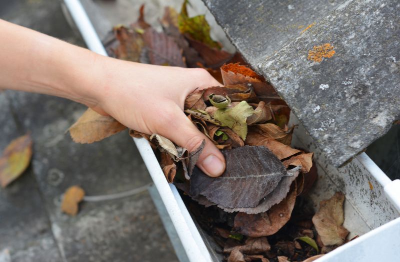 Preventative Gutter Care